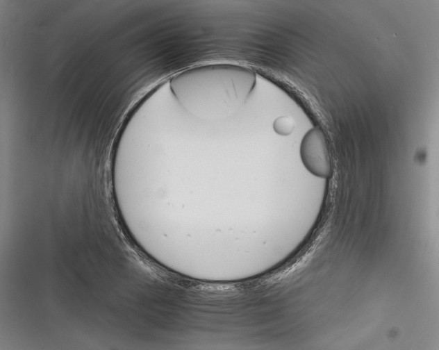 X0000116261129201001110948