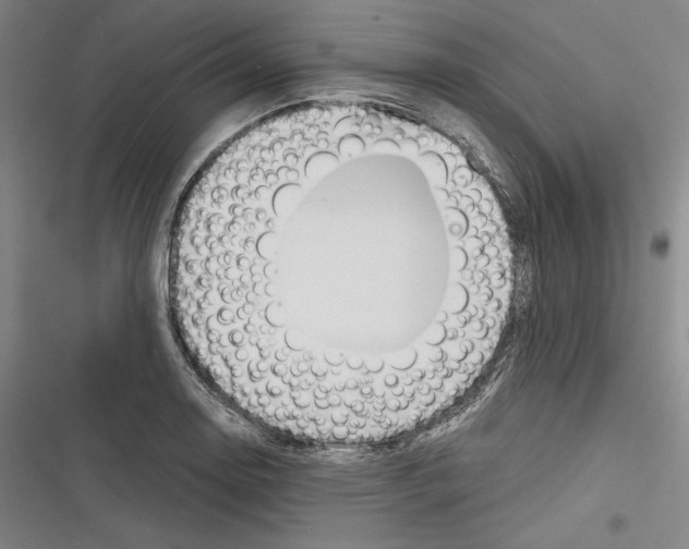 X0000116261130201001110948