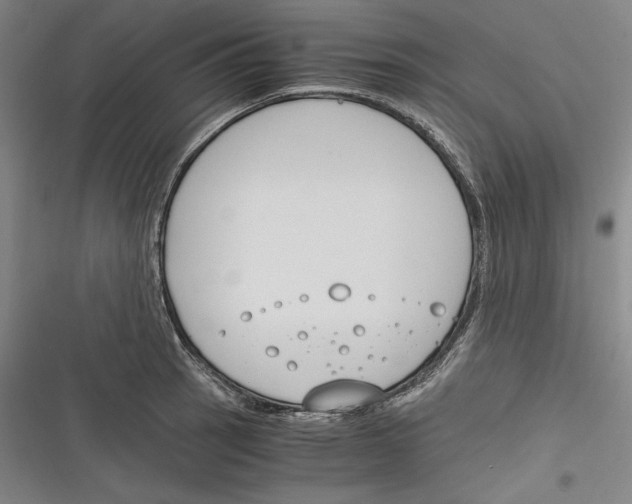 X0000116261137201001110948