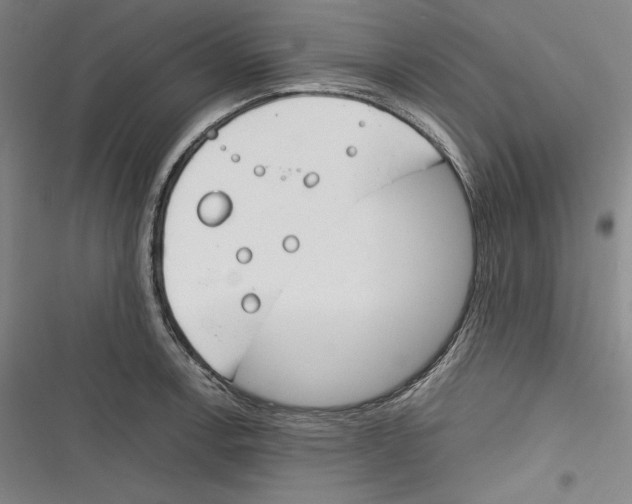 X0000116261138201001110948