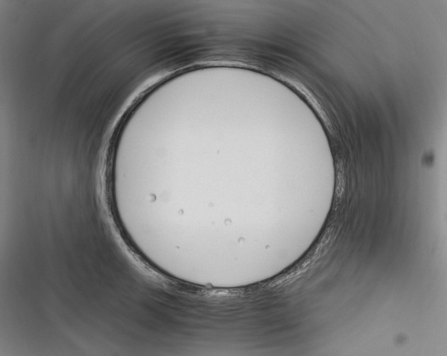X0000116261139201001110948