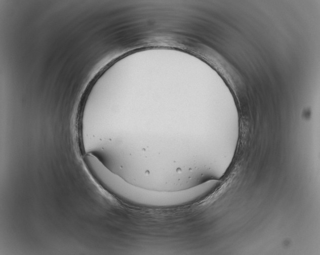 X0000116261141201001110948