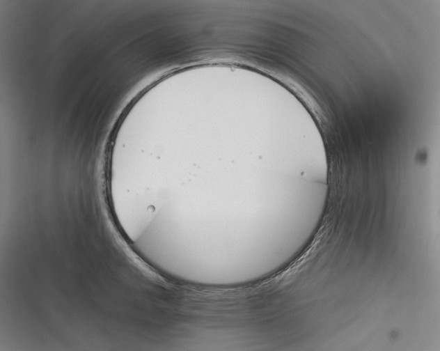 X0000116261142201001110948