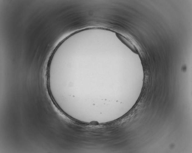 X0000116261143201001110948