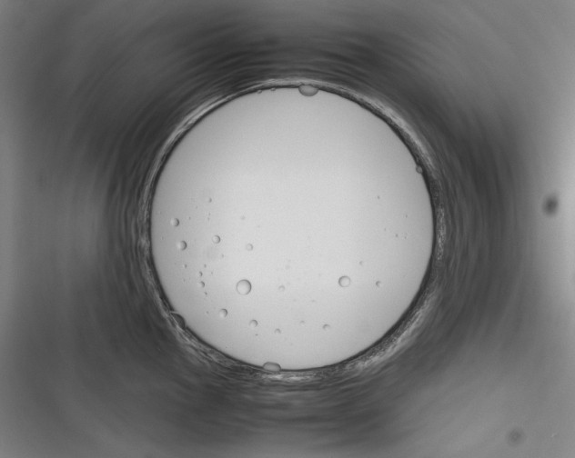 X0000116261145201001110948