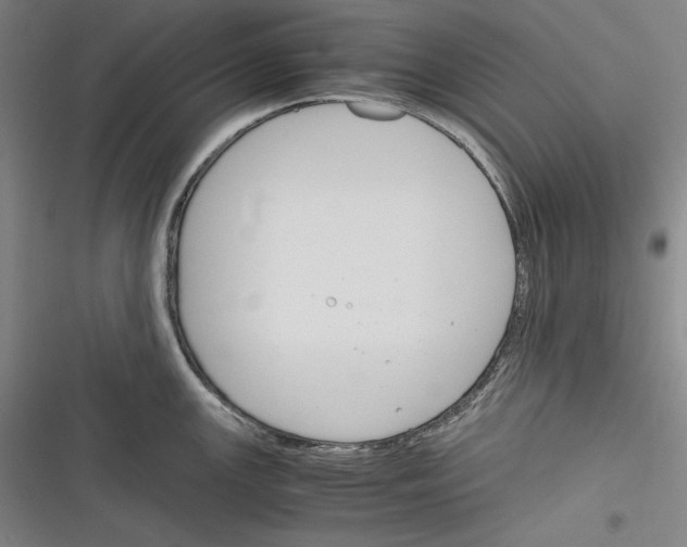 X0000116261147201001110948
