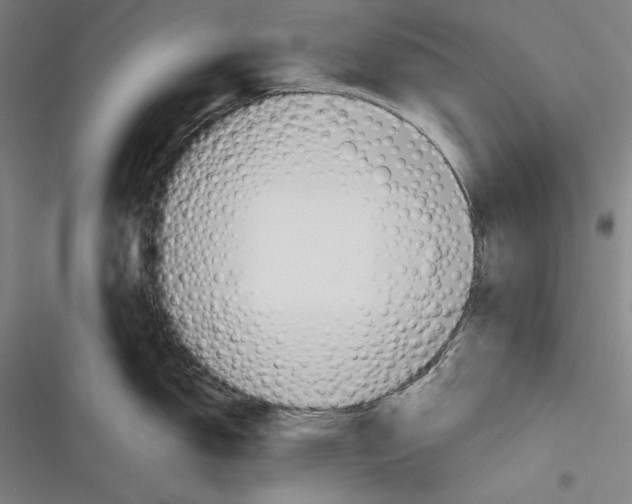 X0000116261150201001110948