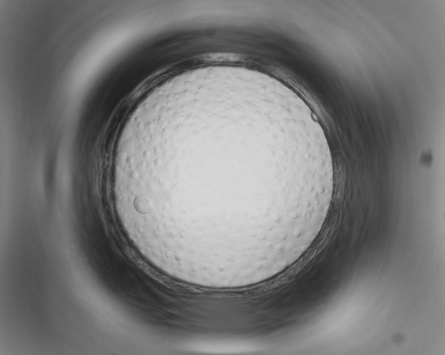 X0000116261151201001110948