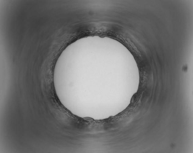 X0000116261153201001110947