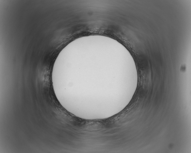X0000116261154201001110947