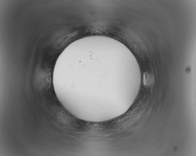 X0000116261155201001110947