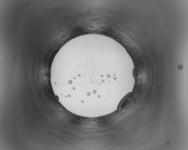 X0000116261156201001110947
