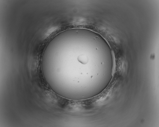 X0000116261157201001110947