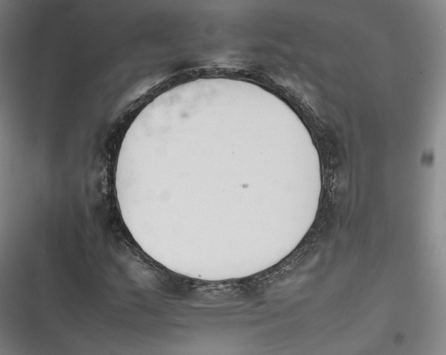 X0000116261159201001110947
