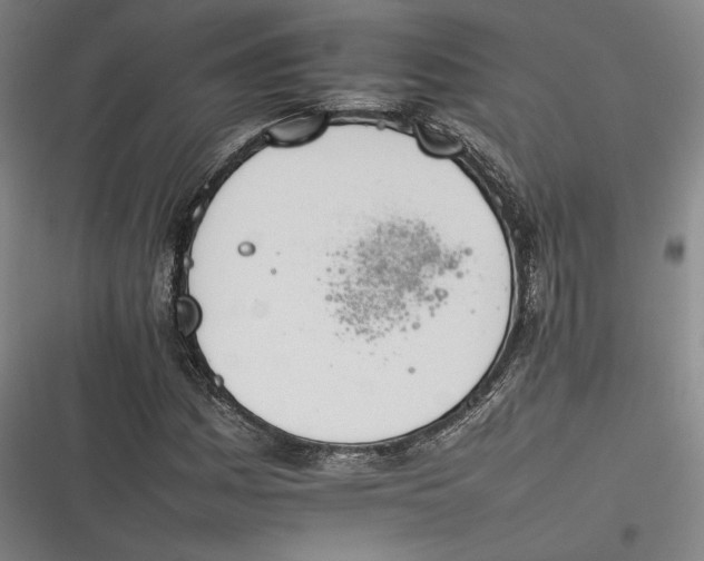 X0000116261161201001110947