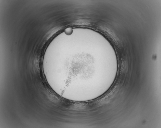 X0000116261162201001110947