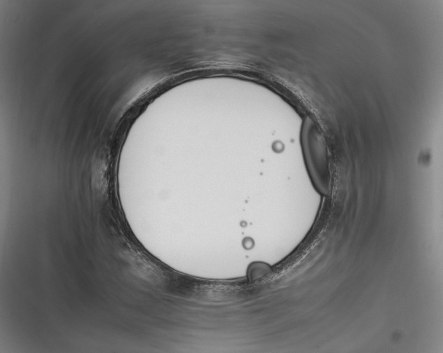 X0000116261163201001110947