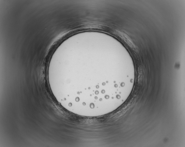 X0000116261164201001110947