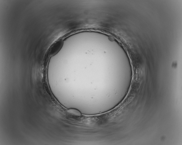 X0000116261165201001110947