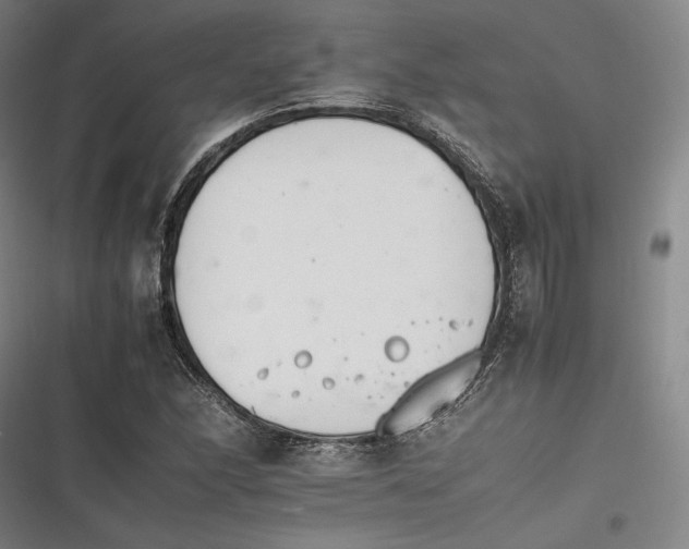 X0000116261166201001110947