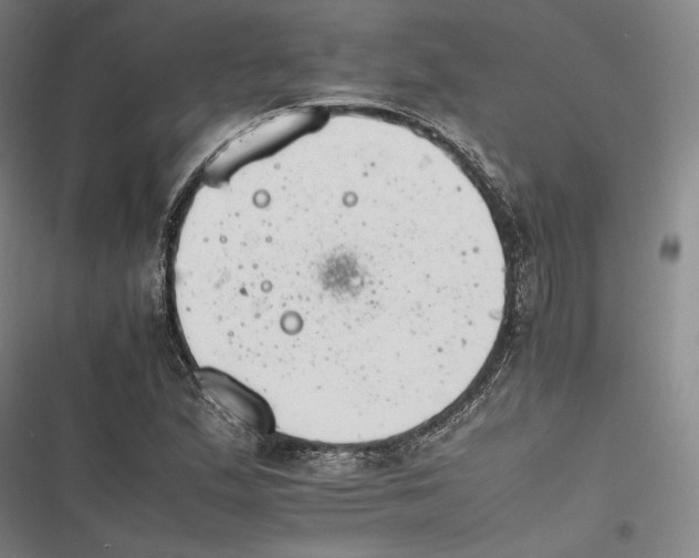 X0000116261167201001110947