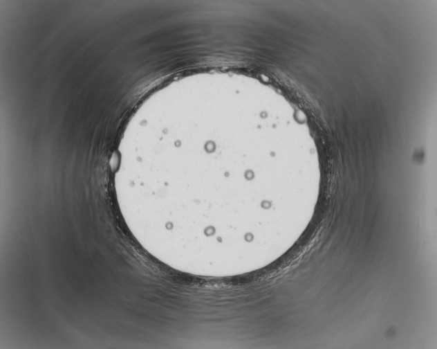 X0000116261169201001110947