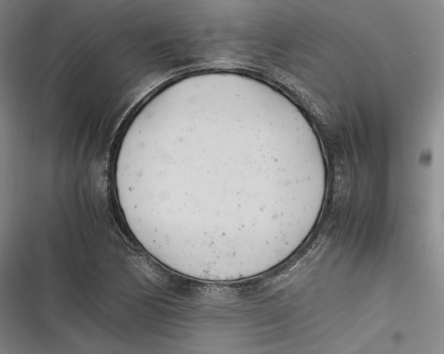 X0000116261170201001110947
