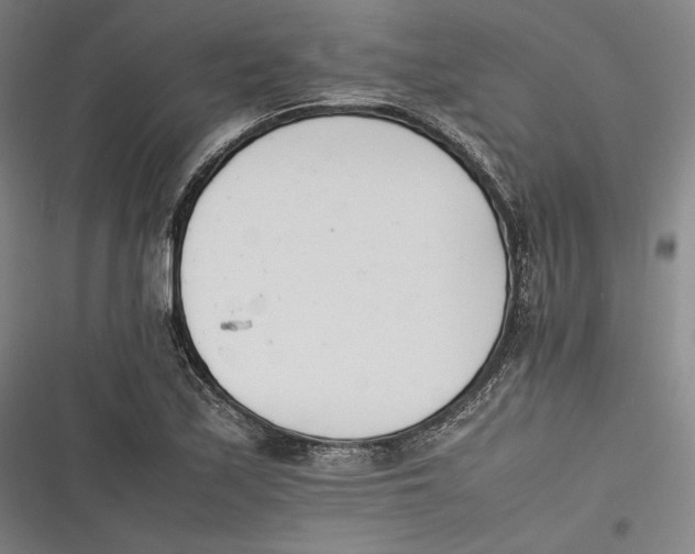 X0000116261171201001110947