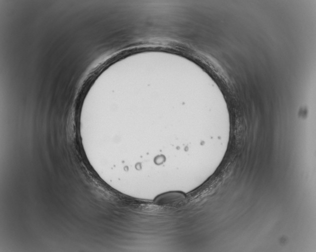 X0000116261172201001110947