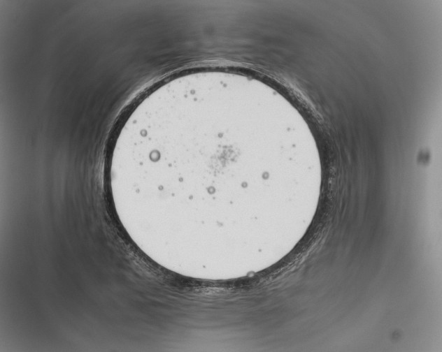 X0000116261173201001110947