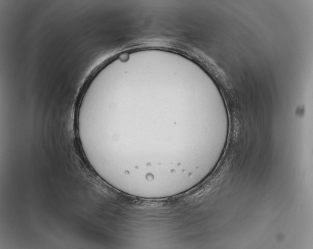 X0000116261174201001110947