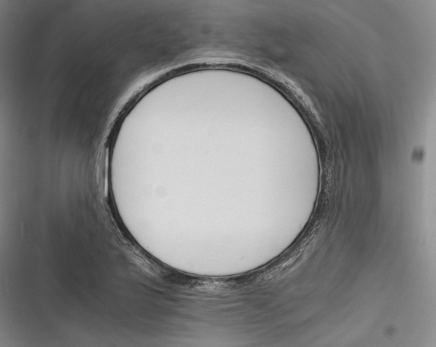 X0000116261175201001110947