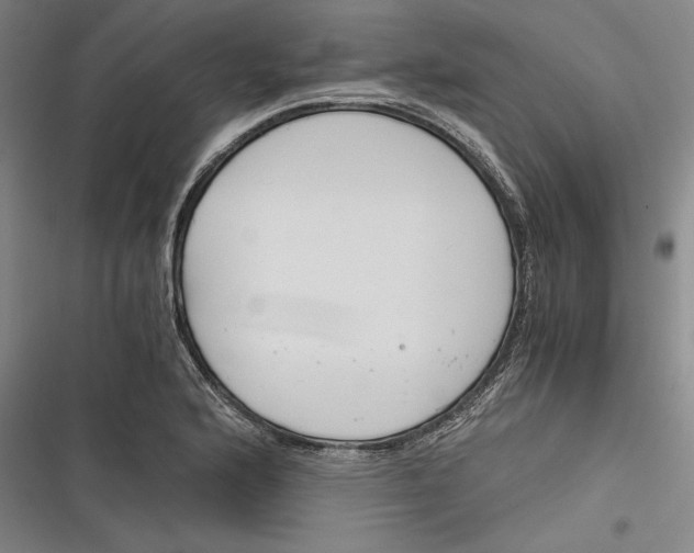 X0000116261176201001110947