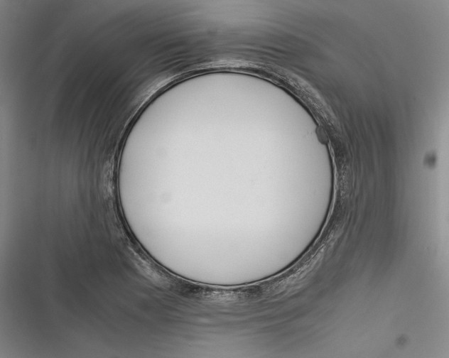 X0000116261177201001110947