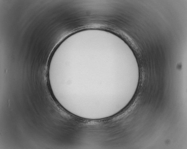 X0000116261178201001110947
