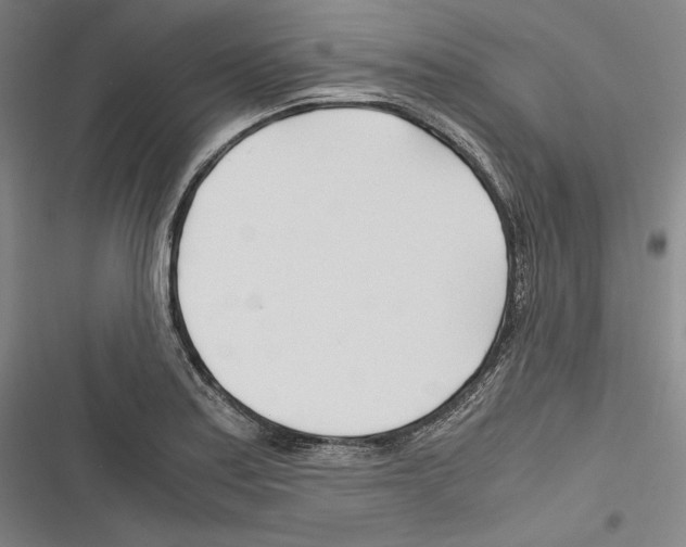 X0000116261179201001110947