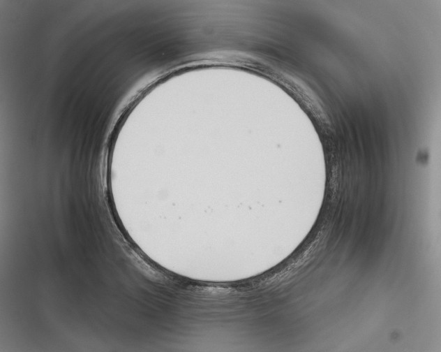 X0000116261180201001110947