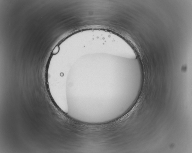 X0000116261181201001110947