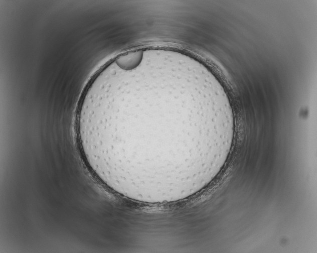 X0000116261182201001110947