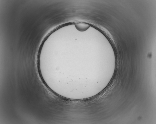 X0000116261183201001110947
