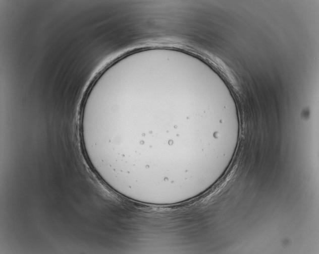 X0000116261184201001110947
