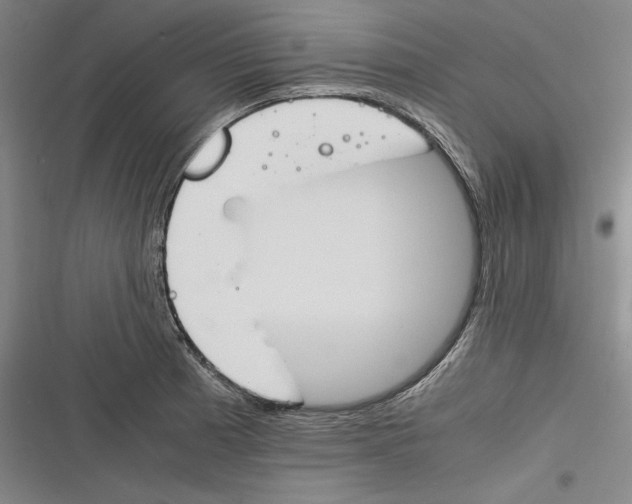 X0000116261185201001110947