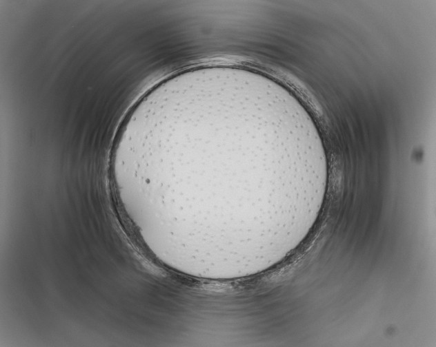 X0000116261186201001110947