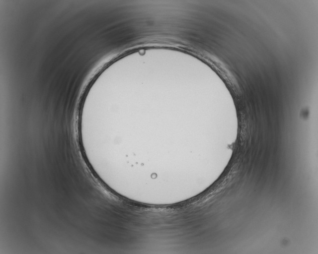 X0000116261188201001110947