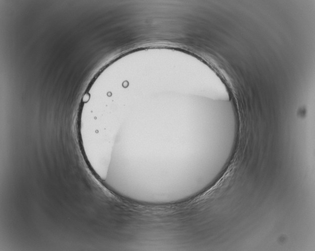 X0000116261189201001110947