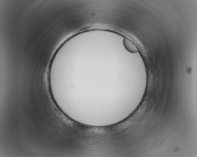 X0000116261190201001110947