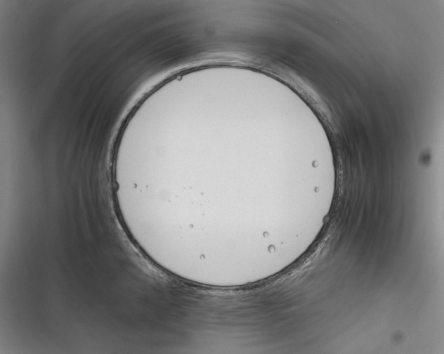 X0000116261192201001110947