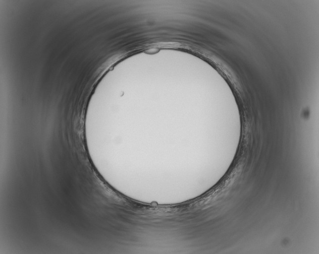 X0000116261193201001110947