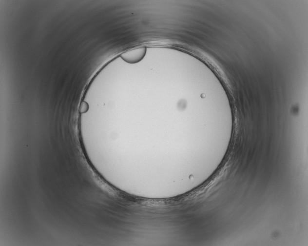 X0000116261194201001110947