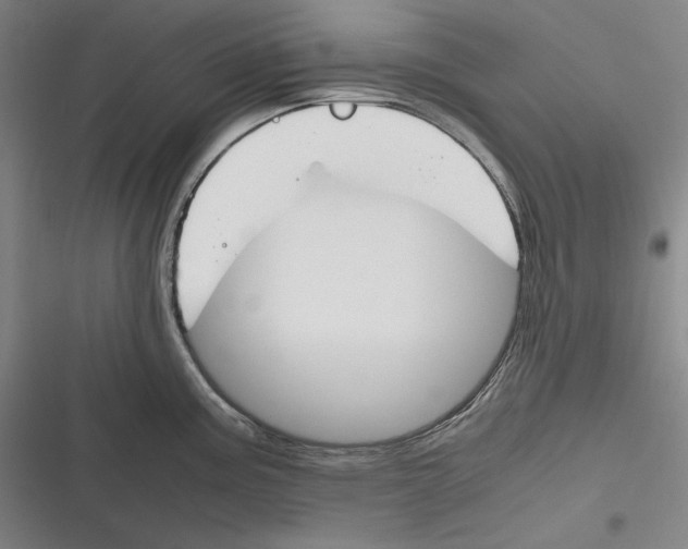 X0000116261195201001110947